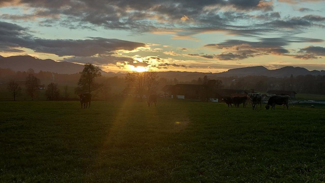 Ferienwohnung Fewo Gabriela Allgaeu Immenstadt im Allgäu Exterior foto