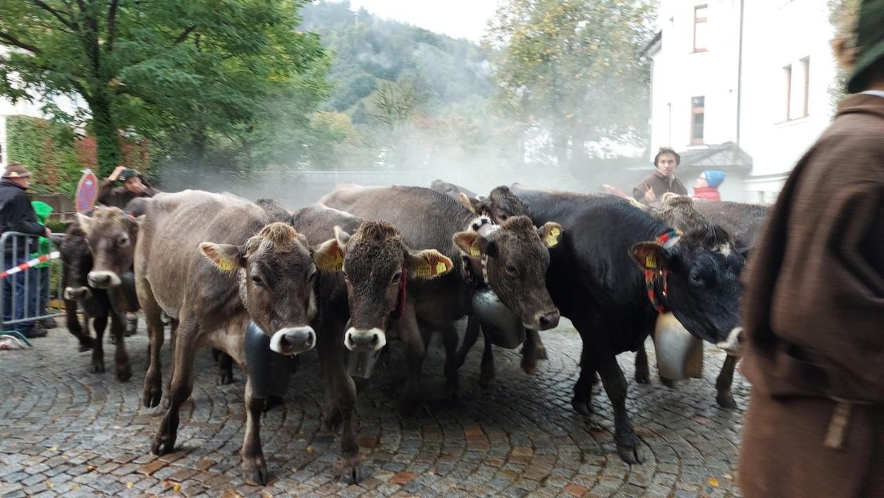 Ferienwohnung Fewo Gabriela Allgaeu Immenstadt im Allgäu Exterior foto