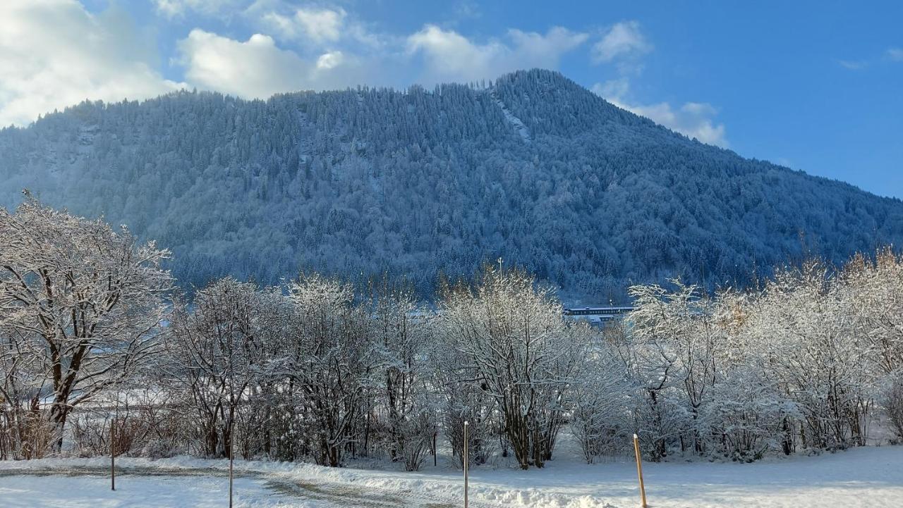 Ferienwohnung Fewo Gabriela Allgaeu Immenstadt im Allgäu Exterior foto